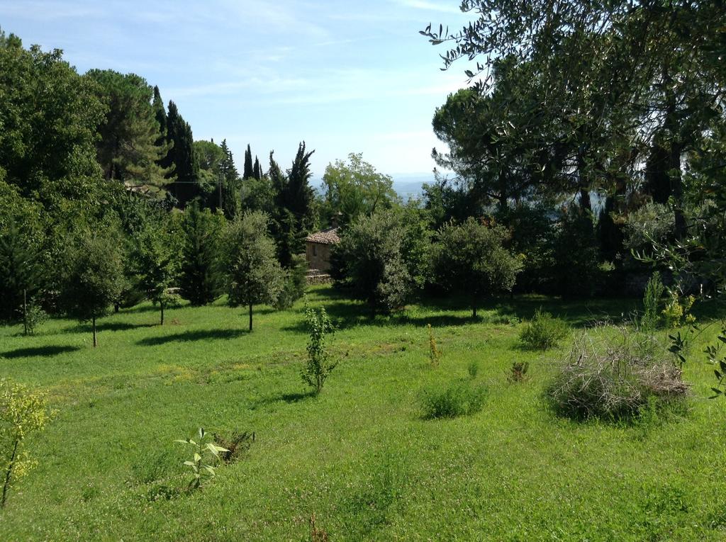 Le Romite San Gimignano Exterior foto